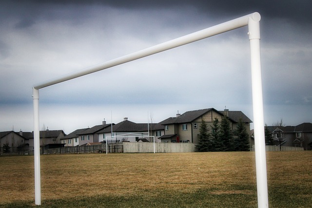 孫興慜的入 孫興慜的入