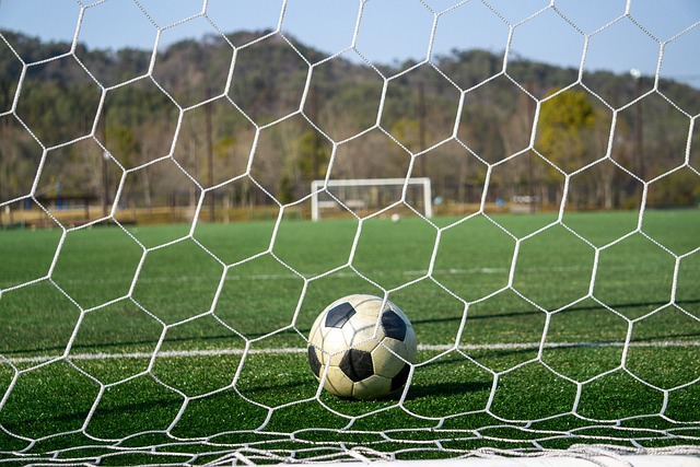 波波维奇本赛季预计不会回归 不确定未来能否执教.