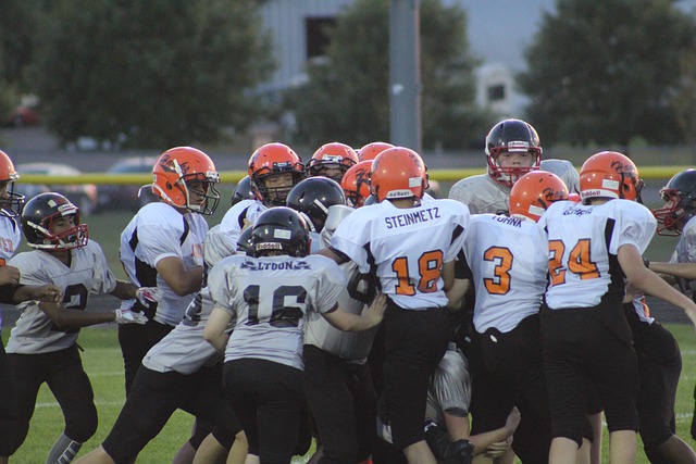 才有可能在 才有可能在