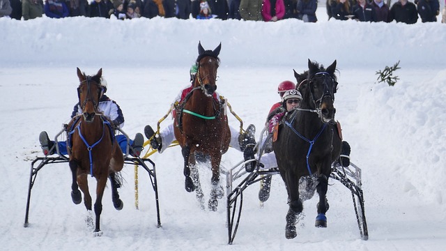 指導為後盾 指導為後盾