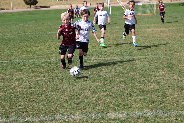 态带领球队 态带领球队