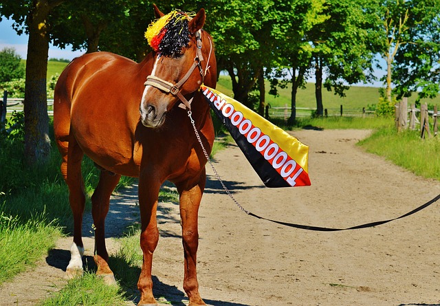蓝军的现状 蓝军的现状