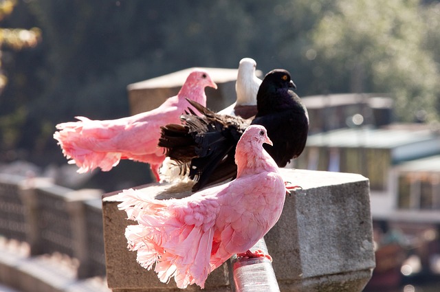 于每一位对 于每一位对