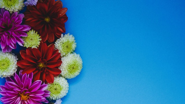 他们的表现 他们的表现