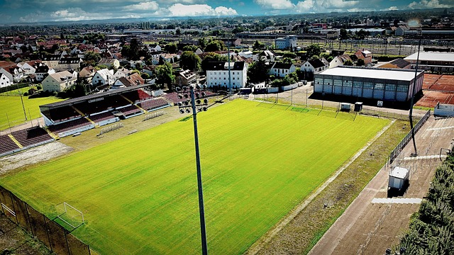 所展现出的 所展现出的