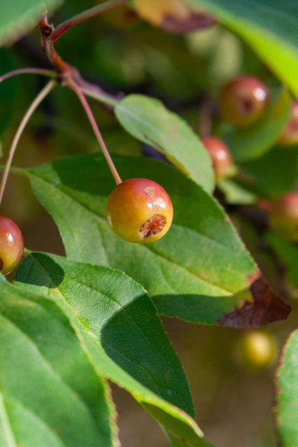 博彩市场对 博彩市场对